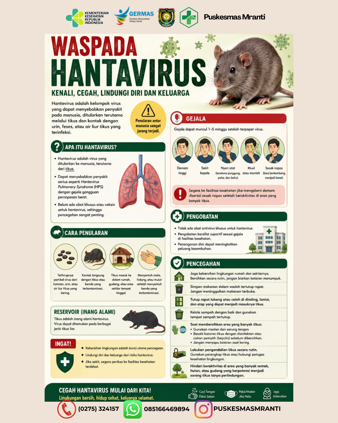 Waspada Hanta Virus